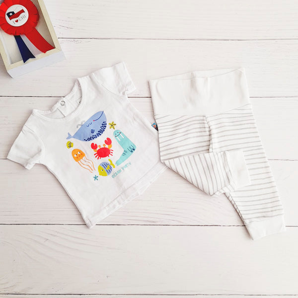 Pack Algodón Diseños Marca Otra RN Estado Tiki taka