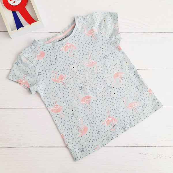 Polera Algodón Diseños Marca Otra 3 A Estado Tiki taka