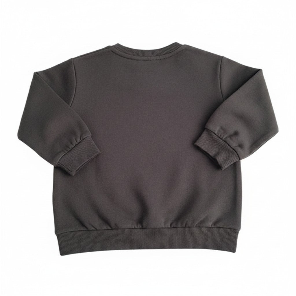 Polerón Algodón Gris Marca H&M 9 M Estado Tiki taka