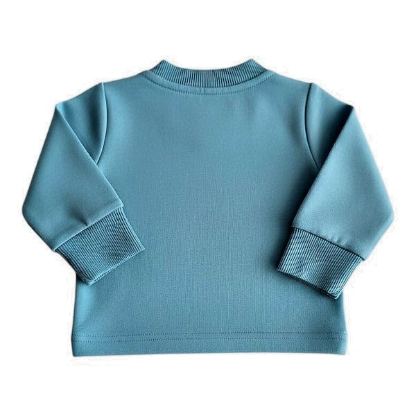 Polerón Micropolar Celeste Marca Black and blue RN Estado Casi tiki