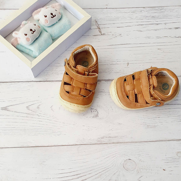 Zapato duro café número 18 Marca Colloky Estado Tiki taka