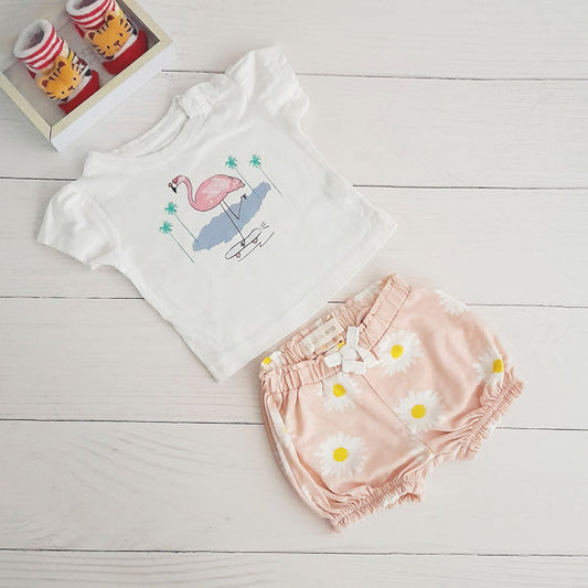 Pack Algodón Multicolor Marca Otra 3 M Estado Tiki taka