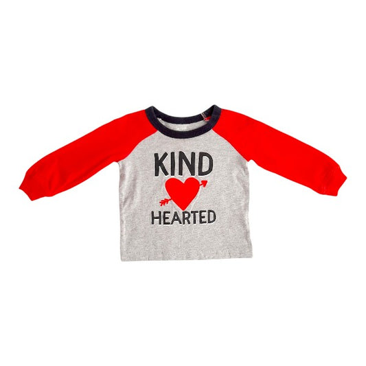 Polera manga larga Algodón Multicolor Marca Carter's 9-12 M Estado Casi tiki