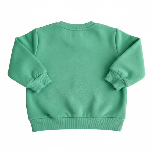 Polerón Algodón Verde Marca Baby harvest 6-9 M Estado Casi tiki