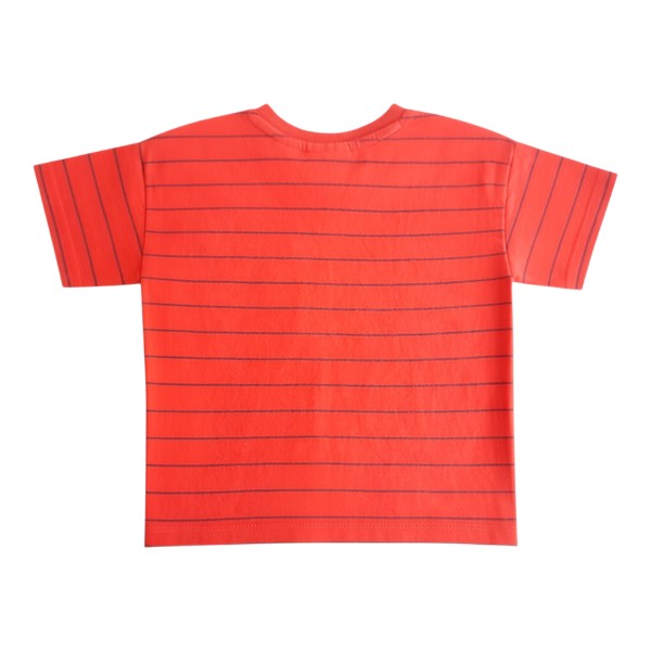 Polera manga corta Algodón Terracota Marca Zara 6-9 M Estado Casi tiki