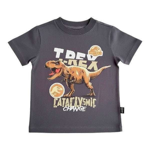 Polera manga corta Algodón Gris Marca Otra 9-12 M Estado Casi tiki