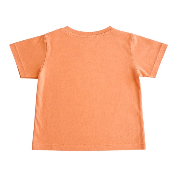 Polera manga corta Algodón Diseños Marca Baby harvest 2 A Estado Casi tiki